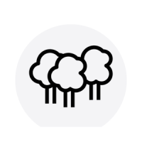 15-21_icon